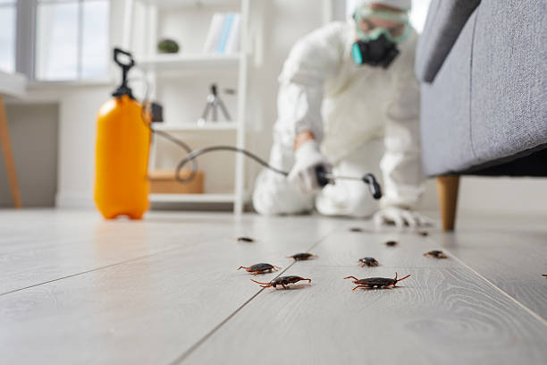 Commercial Kitchen Cockroach Control in Crowley